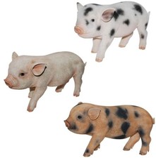 Micro Pig Piglet - Lifelike