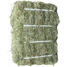Organic Timothy Hay with Rye Grass - Banded Hay Bale 12.5kg - Horse & Rabbit Hay