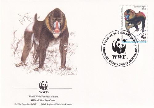 Mandrill wwf equatorial guinea - mandrill,
