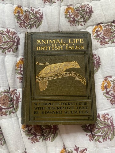 Animal life the british - life,