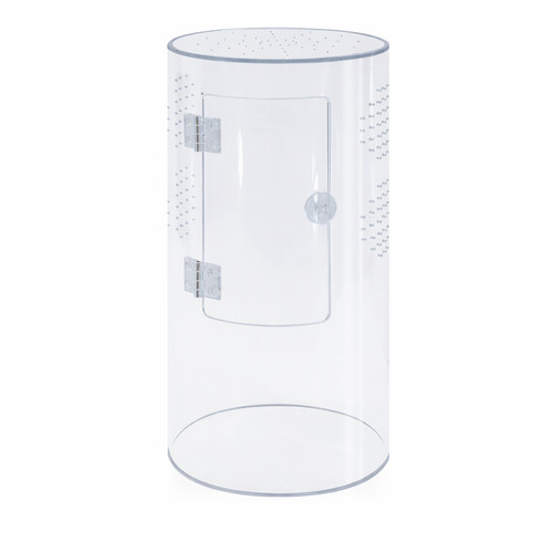 Reptile repto terra clear - reptile,