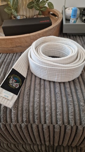 Taekwondo martial arts belt - martial,