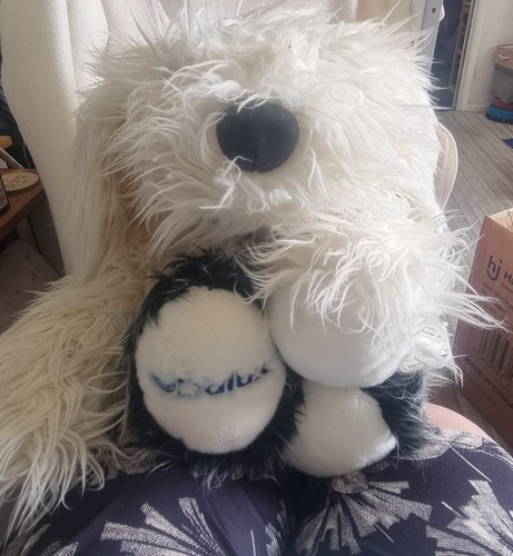 Ccfsg dulux dog 2011 - 2011, vintage
