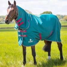 Shires Tempest Original Air Motion Combo Turnout Rug - Green