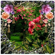 Beautiful second 'View from