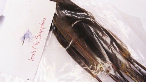 Ifs mallard flight feathers - mallard,