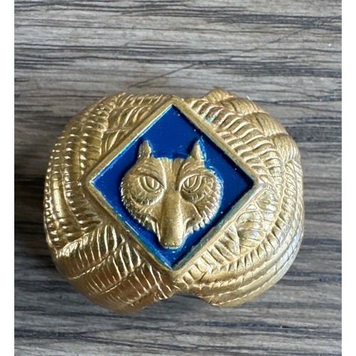 Vintage boy cub scout - vintage,