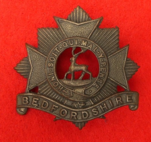 Bedfordshire regiment all - bedfordshire,