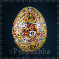 Real Ukrainian Pysanky Chicken
