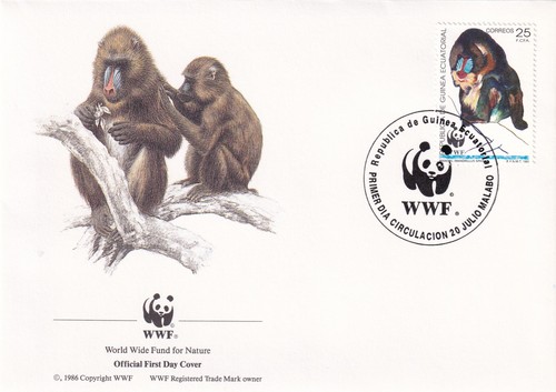 Mandrill wwf equatorial - mandrill,