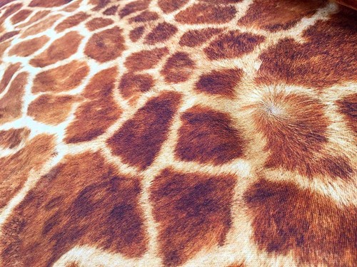 Giraffe fabric animal print - animal,