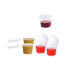 Hinged Lid Plastic Container