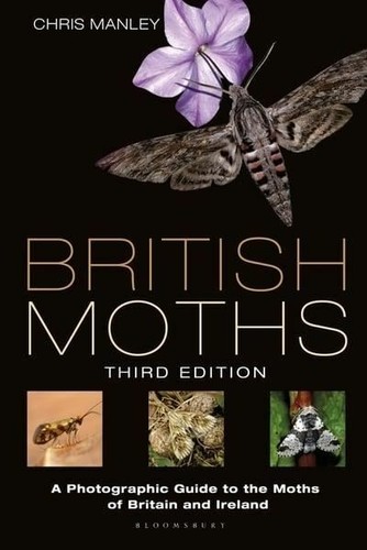 British and irish moths - irish, third