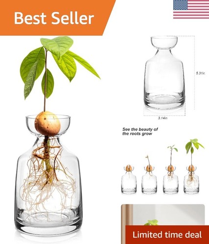 Compact clear glass vase for - clear,