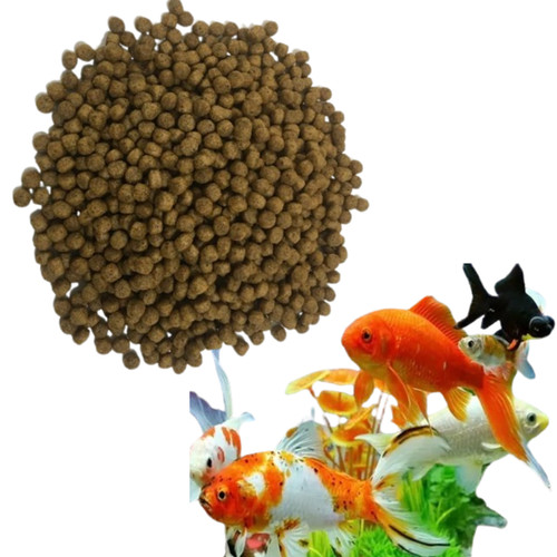 Koi goldfish best aquarium - koi,goldfish,