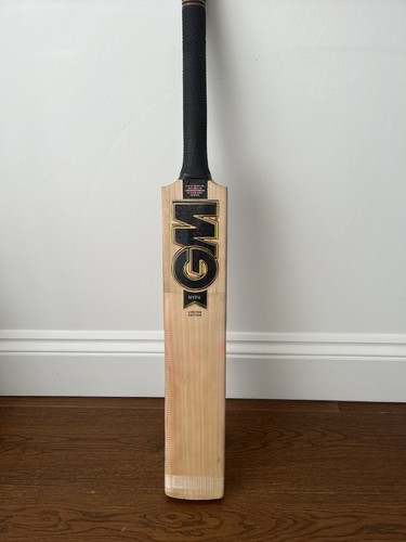 Hypa english willow cricket - english,