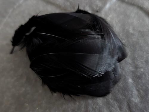 Black french partridge - black,