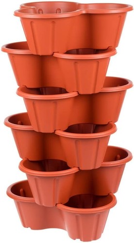 Set trio strawberry - of,