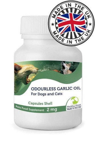 Odourless garlic oil 2mg - garlic,