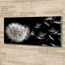Glass picture wall art print