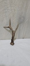 DEER /ROE ANTLER ,THUMBSTICK/  HANDLE FOR WALKING STICK MAKING MEDIUM SIZE [E]