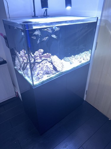 Aqua pro marine - d&d,