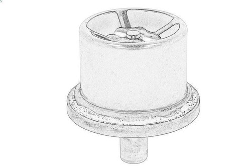Thermostat coolant for daf - coolant, oe