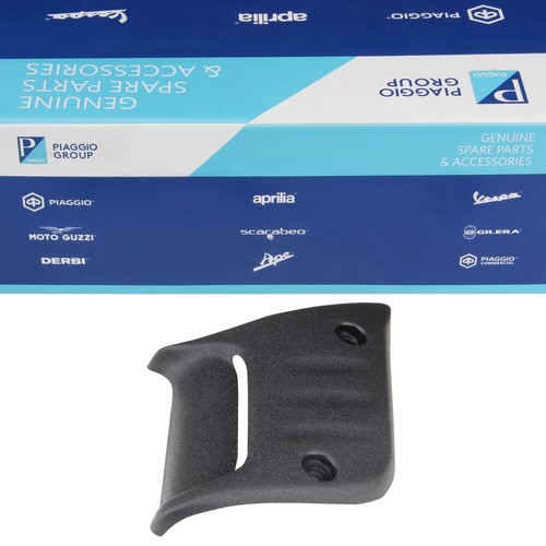 Cover front swingarm fork