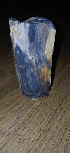Petrified plant wood - plant, fossil