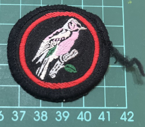 Vintage girl guiding bird - girl,