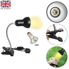 Reptile Heat Light Bulb