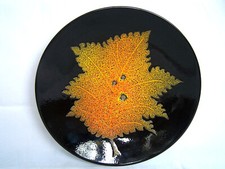 Poole Pottery Aegean Sgraffito