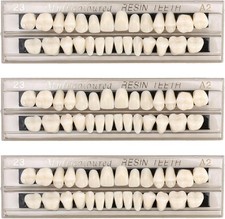 84Pcs Fake Teeth Dental