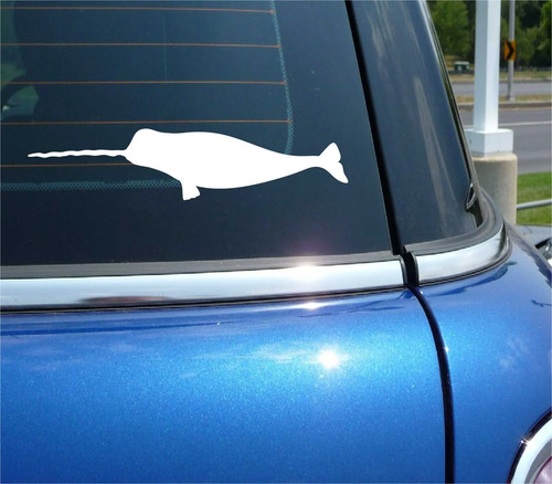 Narwhal whale horn funny - whale,