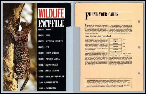 Index wildlife fact - wildlife, file