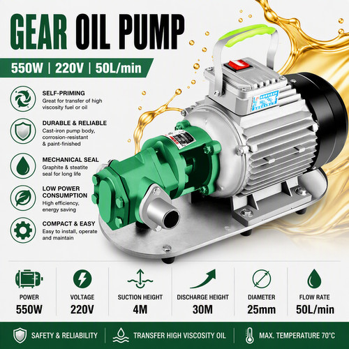 Electric gear oil pump - electric,