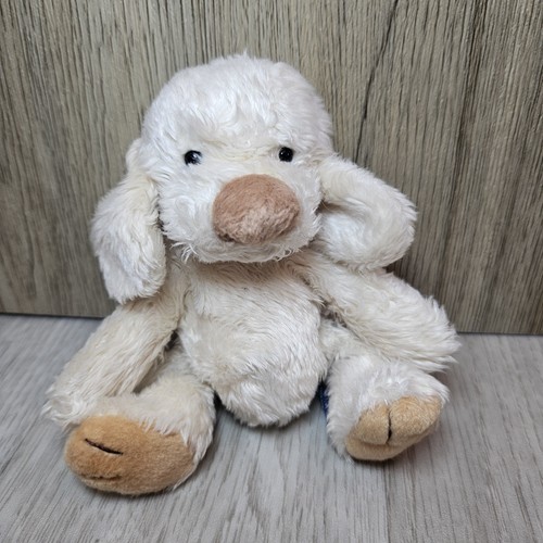 Trudi bussi dog puppy - trudi,