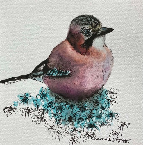 Jay original watercolour and - jay,,