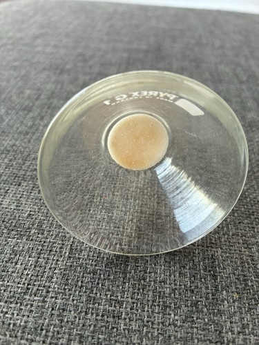 Pyrex filter funnel with - pyrex,