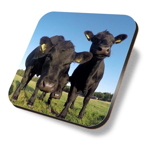 Square mdf coaster black - coaster,