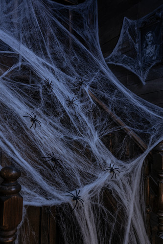 100g spider webs - 100g, 10