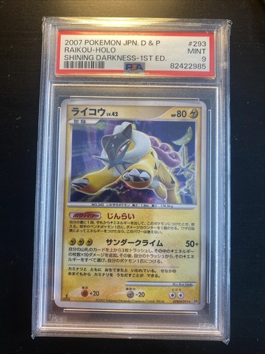 2007 raikou shining darkness - 2007,