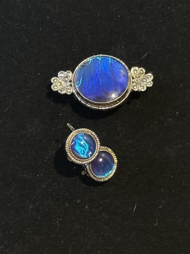 Vintage blue butterfly wing - vintage,