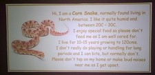 Vivarium corn snake milk - vivarium,