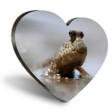 Heart MDF Coaster Cute