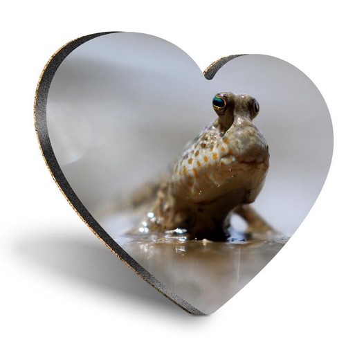 Heart mdf coaster cute - mdf,