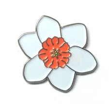 White Daffodil 'New