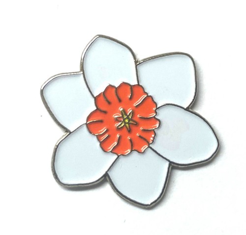 White daffodil new - white,