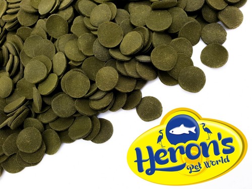 Herons pleco wafers algae - herons,