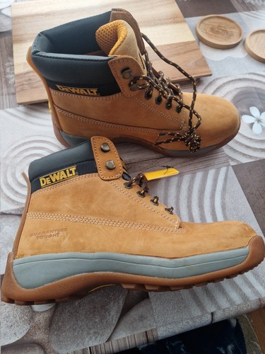 Dewalt apprentice honey - apprentice,